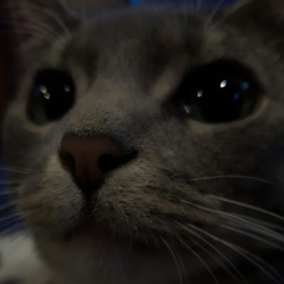 Meet your Posher, Lorelei - Picture 1 of 1